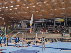 Basti Barren